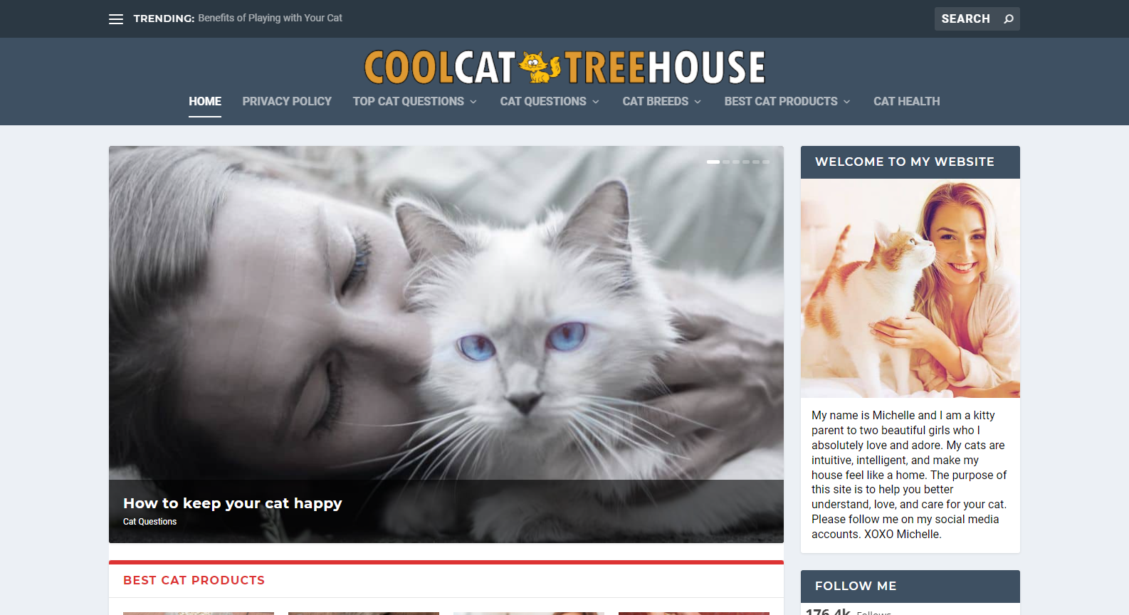 Cool Cat Tree House Cool Cat Tree House