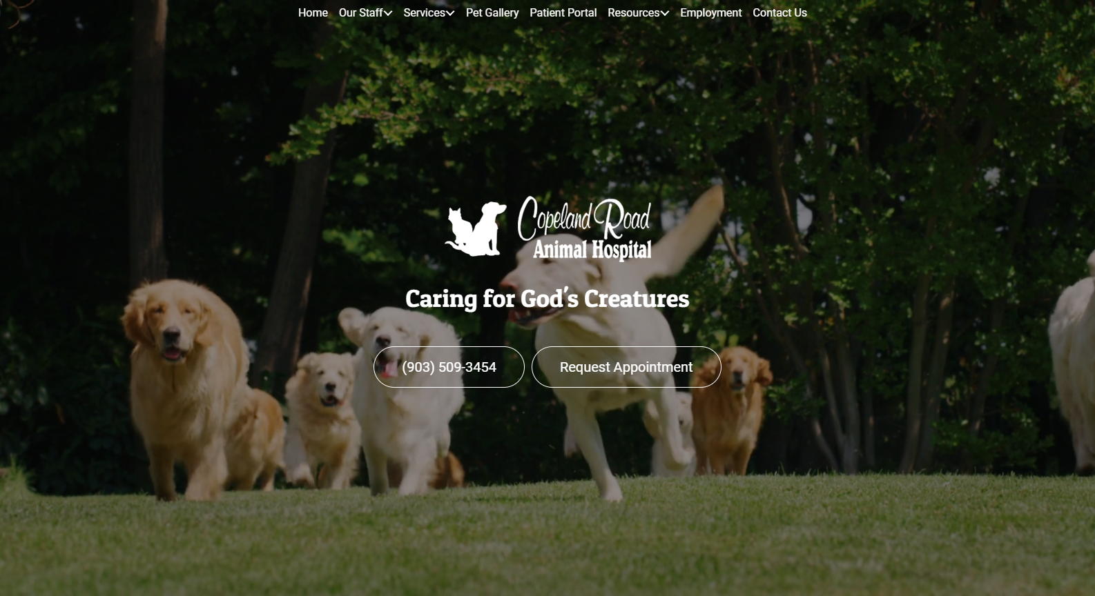 Copeland Road Animal Hospital Copeland Road Animal Hospital