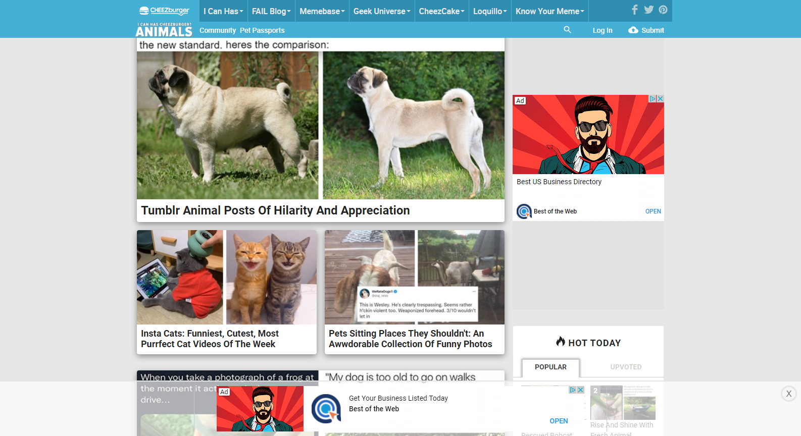 I Can Has Cheeseburger I Can Has Cheeseburger