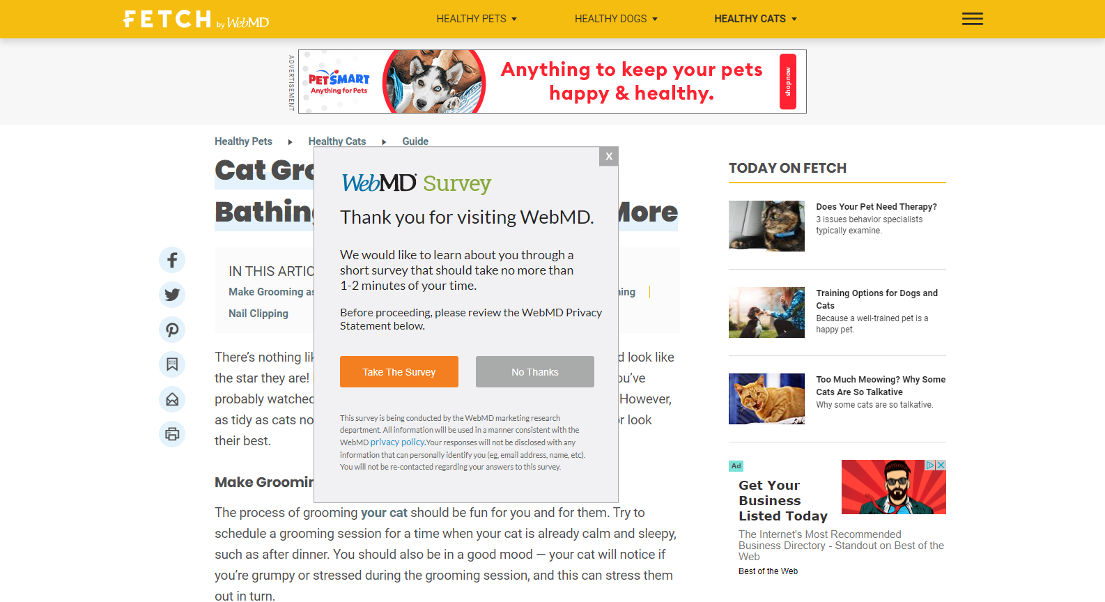 Cat Grooming from WebMD Cat Grooming from WebMD
