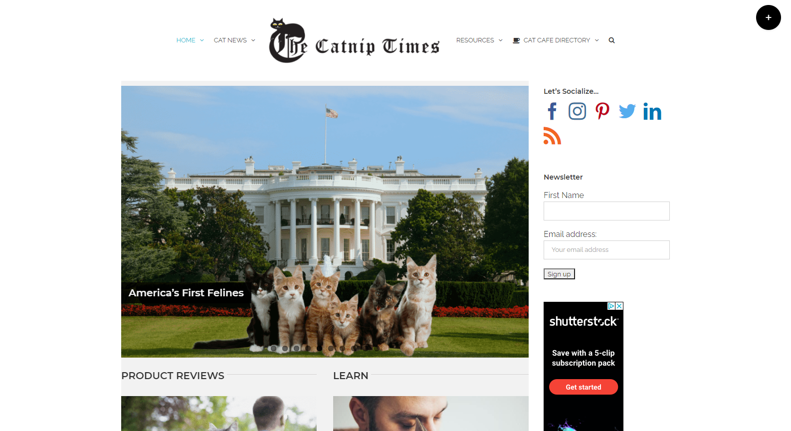 Informatiom About Cat Habits Informatiom About Cat Habits