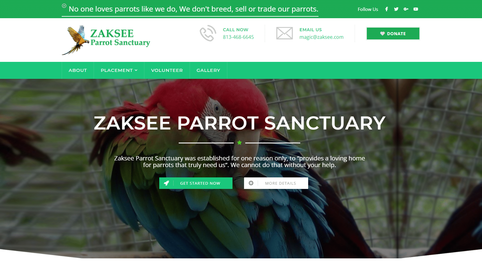 Parrot & Macaw Rescue Parrot & Macaw Rescue